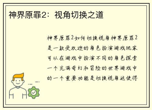 神界原罪2：视角切换之道